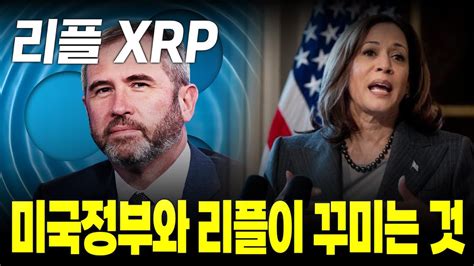 리플 전망 리플 Xrp 미국 정부와 리플이 꾸미는 것 리플 Xrp 리플코인 속보 리플밈코인밈코인 비트코인상승