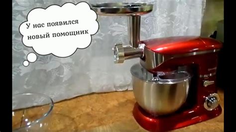 У НАС ПОЯВИЛСЯ НОВЫЙ ПОМОЩНИК - YouTube