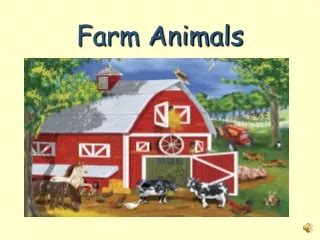 PPT - Farm Animals PowerPoint Presentation, free download - ID:2659312