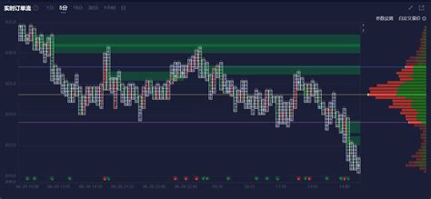 订单流量价分布：今日期货市场热门品种复盘（6月21日） 市场参考 金十数据