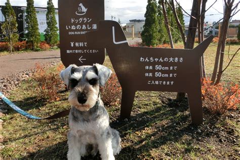 施設のご案内／いぬのあし湯ドッグラン 【公式】道の駅 ガーデンスパ十勝川温泉 癒しのスパ＆マルシェ