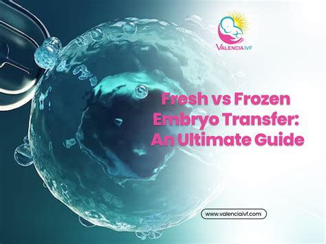 Fresh Vs Frozen Embryo Transfer An Ultimate Guide Valencia Ivf