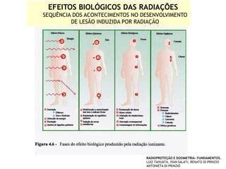 Efeitos biológicos das radiações 1 PPT