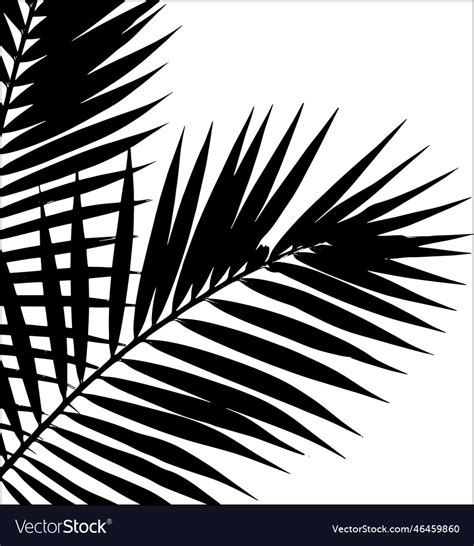 Palm leaf silhouette Royalty Free Vector Image