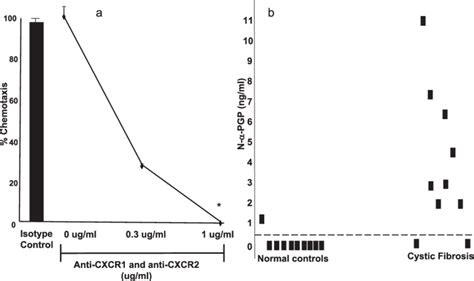 A Pgp Acted Via A Cxcr Dependent Mechanism To Cause Neutrophil