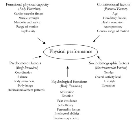 Environmental Factors That Affect Physical Fitness - All Photos Fitness ...