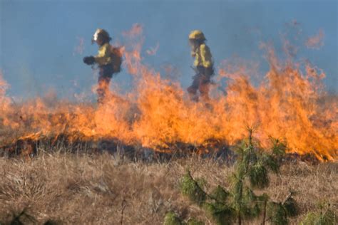 Incendios Sin Control La Necesidad De Una Ley Integral De Ordenamiento