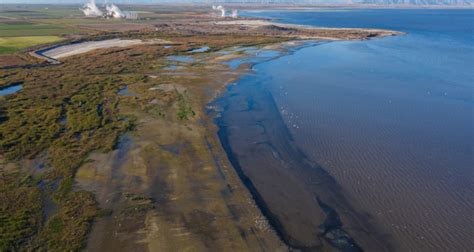 Major Habitat Restoration Project Set to Move Forward at Salton Sea ...