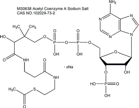 Acetyl Coenzyme A Sodium Salt 乙酰辅酶A钠盐 上海懋康生物科技有限公司