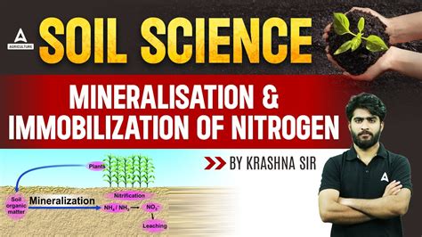 Mineralization And Immobilization Of Nitrogen Soil Science Short