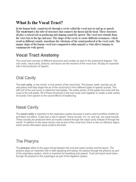 What Is The Vocal Tract | PDF | Larynx | Mouth