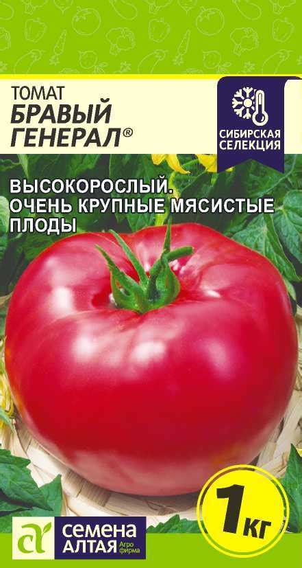 Томат
