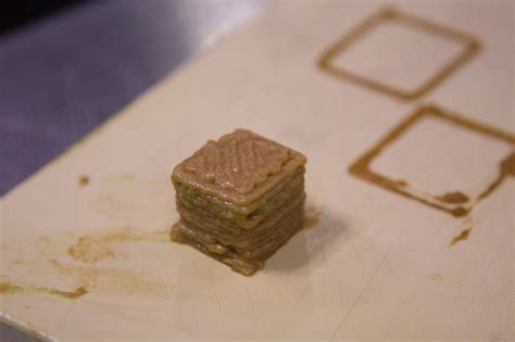 Cornell's New 3-D Printer Lets You Print Food in Any Shape and Texture