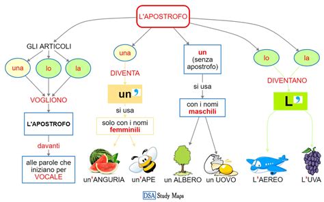 Ortografia Lapostrofo DSA Study Maps Junior