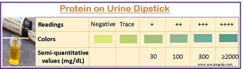 Proteinuria Protein In Urine We Care