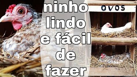 Como Fazer Ninhos Para Galinhas Lindo E F Cil Youtube