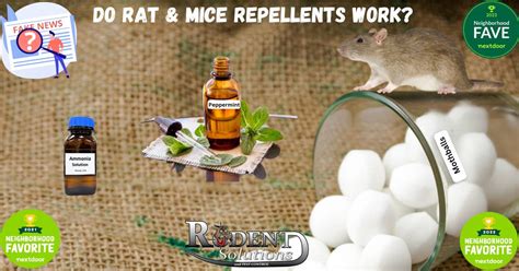 Do Rat & Mice Repellents Work?