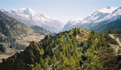 Trekking Annapurna Everything You Need To Know