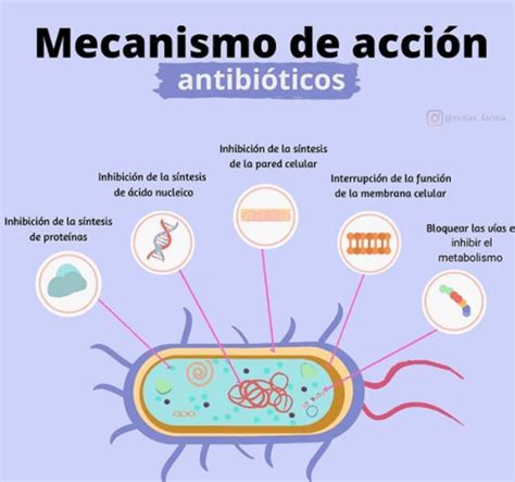 Antimicrobianos Science Quizizz