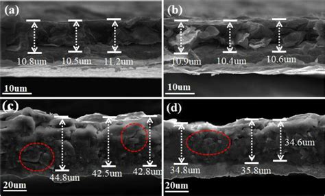 The SEM Cross Section Morphology Of Electrode SP A And Electrode