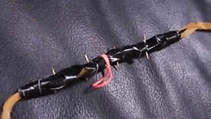 Queensnakes Gambit Queensnake Queensect Hogtied Tied Up Porn XHamster