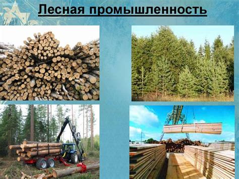 Лесная промышленность - презентация онлайн