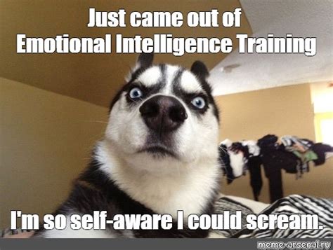 Meme Just Came Out Of Emotional Intelligence Training I M So Self