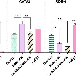 MiR 29b Loaded Exosomes Change The Expression Level Of Transcription