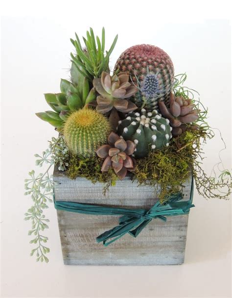 Cacti Arrangement With Succulents In A 5 X 5 Wood Box Urban Succulents