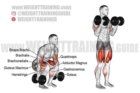 Dumbbell Squat To Dumbbell Curl Exercise Instructions And Video