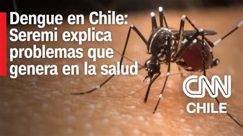 Seremi De Salud De Valpara So Confirma M Ltiples Focos De Mosquitos