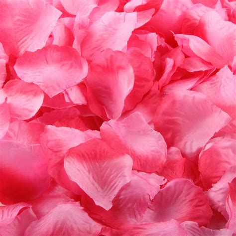 1000pcs Hot Pink Silk Rose Artificial Petals Wedding Party Flower