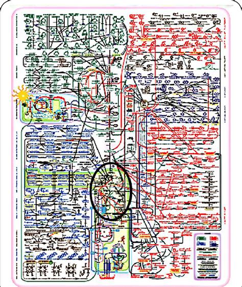 A Metabolic Chart Of The Pathways Of Intermediary Metabolism The Krebs