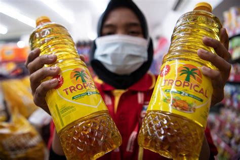 Kemendag Bakal Panggil Aprindo Dan Produsen Bahas Utang Minyak Goreng