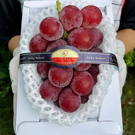 Ruby Roman Grapes Special Reserve Pacific Wild Pick