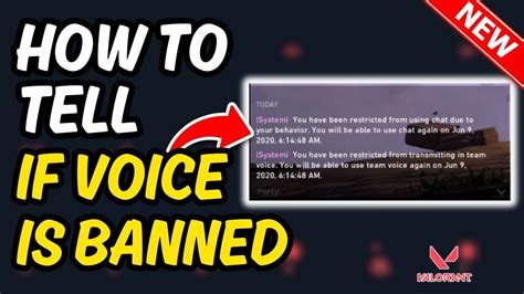 How To Know If Your Voice Chat Banned Valorant Quick Easy Youtube