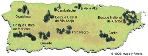 Mapa De Los Bosques De Puerto Rico