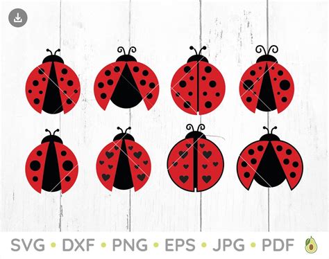 Ladybug Svg Ladybug Bundle Svg Insect Svg Bug Svg Summer Etsy