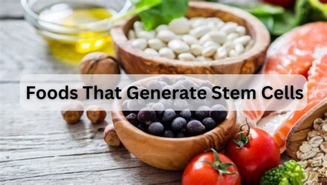 Foods That Generate Stem Cells Irm Hospital