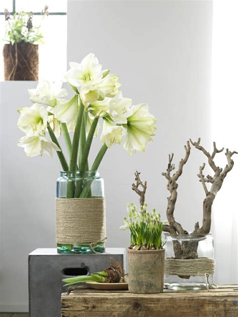 Pin Van G Fresh Op Amaryllis Decoratie Bloemstukken Decoratie Idee N