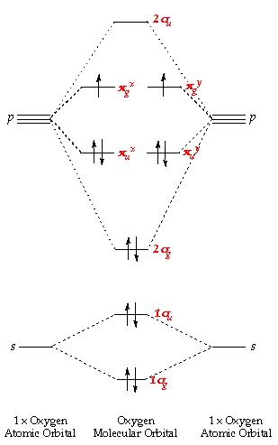 molecules - Molecular Orbital Theory and No. of bonds - Chemistry Stack ...