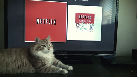 Neko Netflix – 5 Minutes with Joe