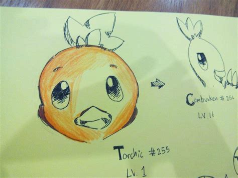 Torchic evolution Chart fanart | Pokémon Amino