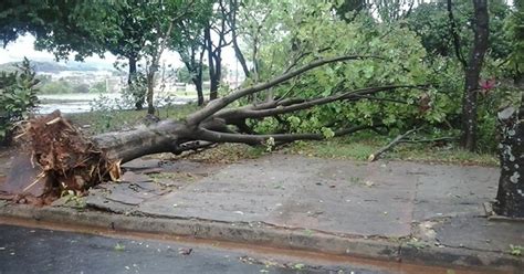 G1 Chuva Forte E Ventania Provocam Estragos Em Rio Preto E Região