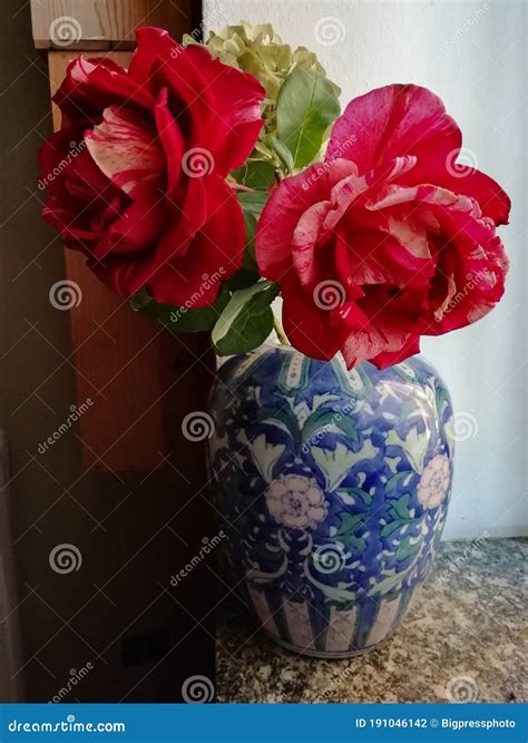 The Beauty Of The Impressionist Rose Henri Matisse Royalty-Free Stock