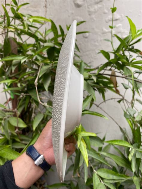 Hot A M Sarang S U L Ng M U Tr Ng En A Main Nh H Ng S C A H Ng N I Th T Lymdecor