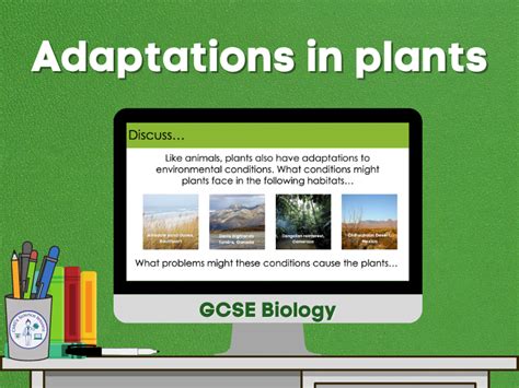 Adaptation in plants | Teaching Resources