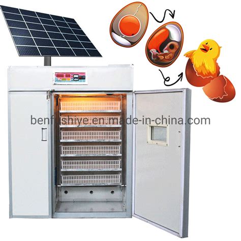 Solar Energy Poultry Farms Chicken Eggs Incubator Quail Goose Guinea