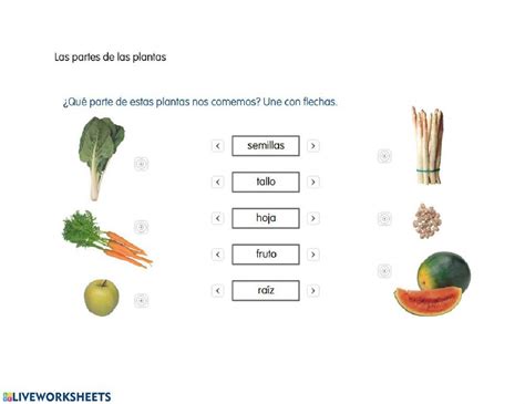 De La Planta Comemos Worksheet