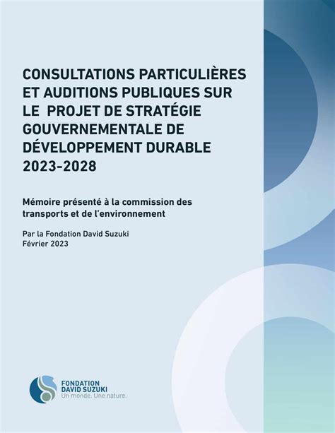 Consultations particulières et auditions publiques sur le projet de